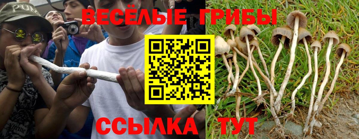 Калининград  Псилоцибиновые грибы мухоморы  Вход с VPN 
